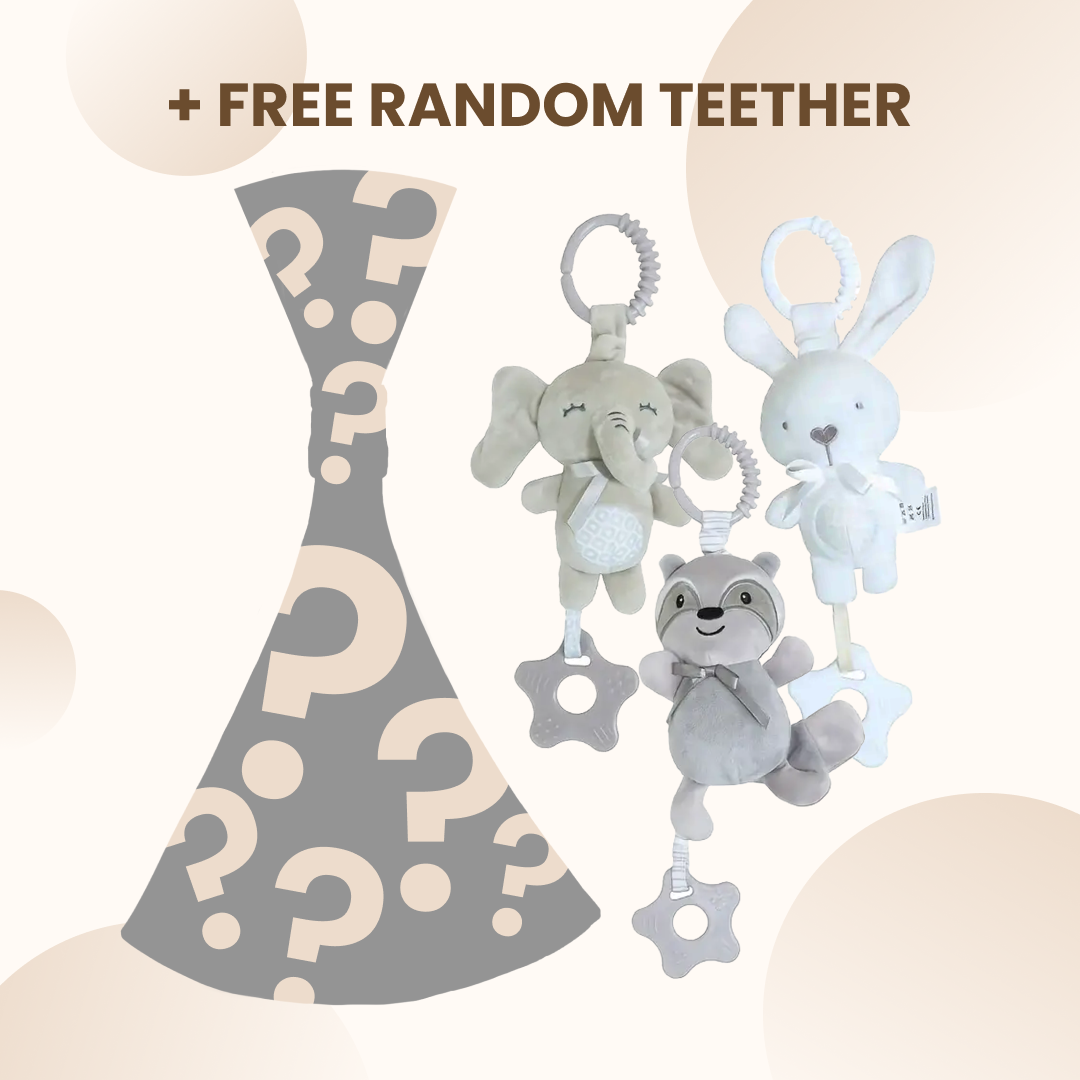 Mystery Toddler Carrier + FREE Teething Charm