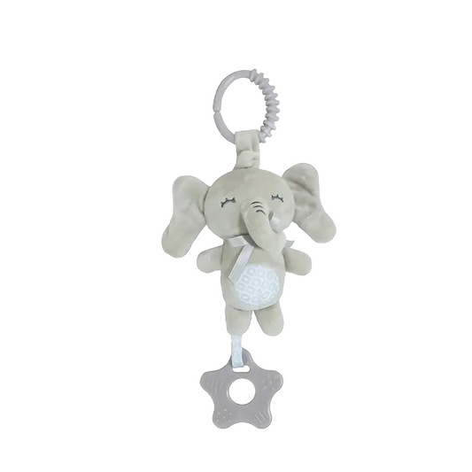 Teething Charm